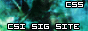 http://www.csisigsite.com